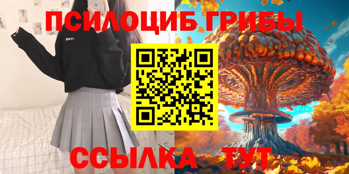 Псилоцибиновые грибы мухоморы Северск