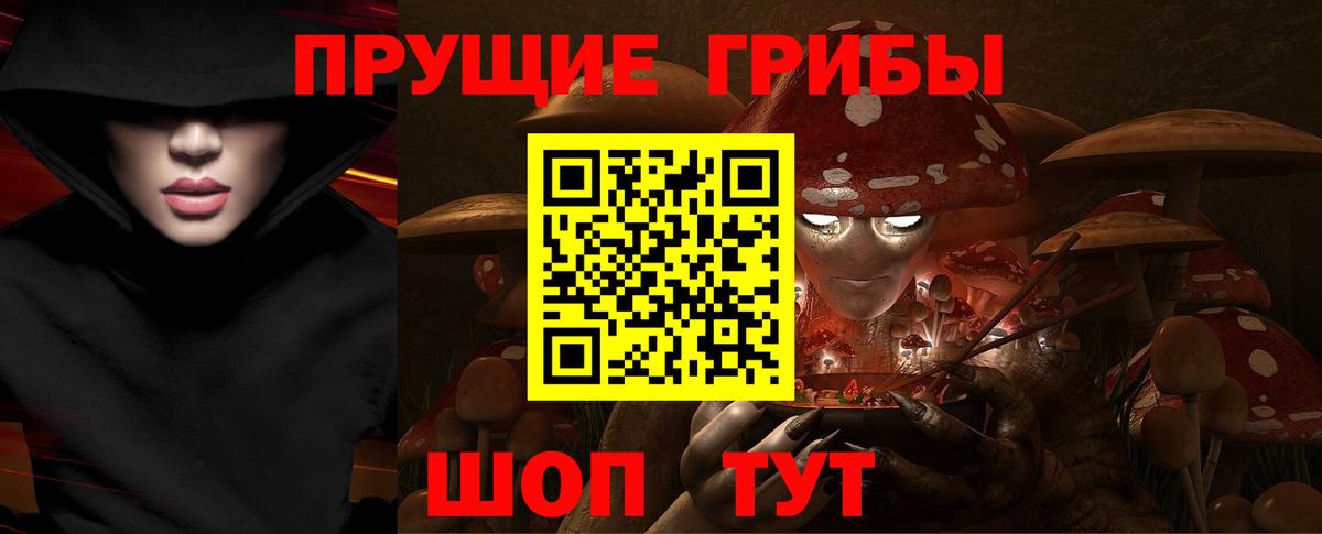 Галлюциногенные грибы GOLDEN TEACHER  Вход с VPN  Северск 